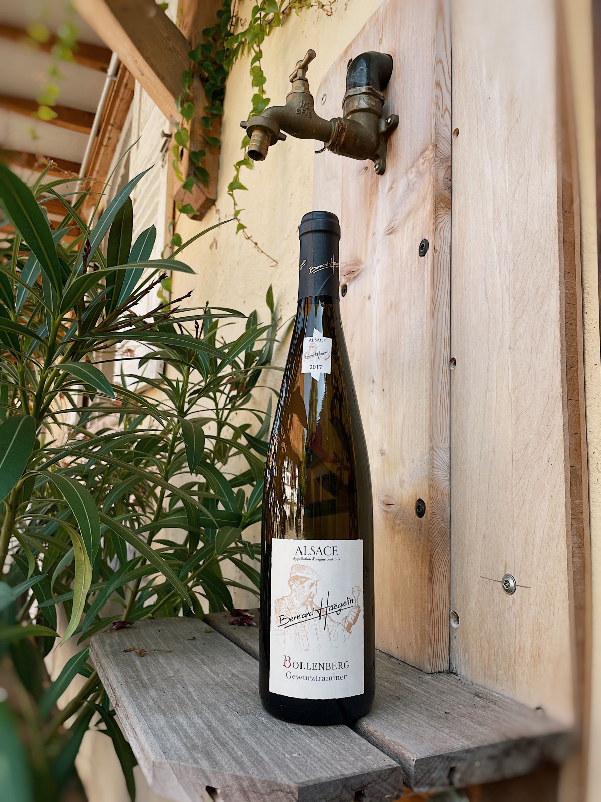 Pinot gris 2019 haegelin