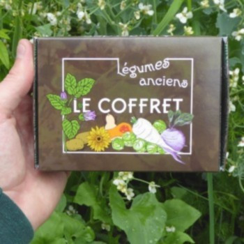 Coffret de graines Légumes anciens 10 variétés - Le Colibri, boutique en  ligne