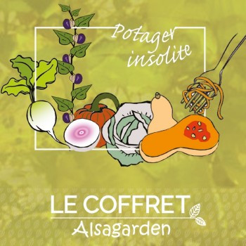 Coffret de graines "Potager insolite" 10 variétés