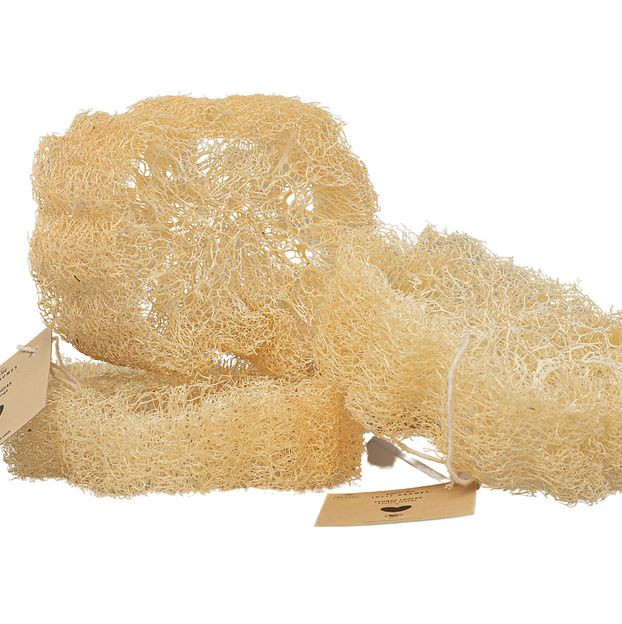 Loofah Jolis Baumes