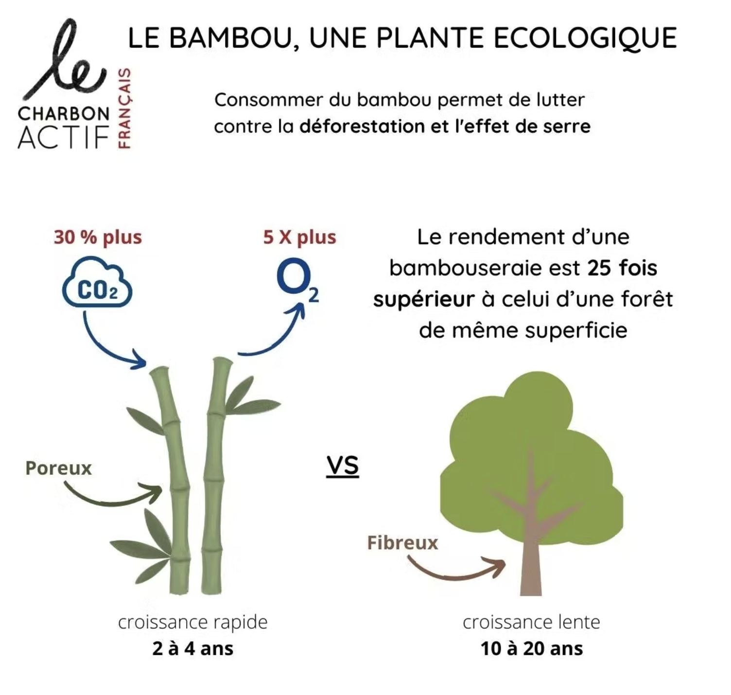 Charbon de bambou français filtre à eau - Le Colibri, boutique en ligne