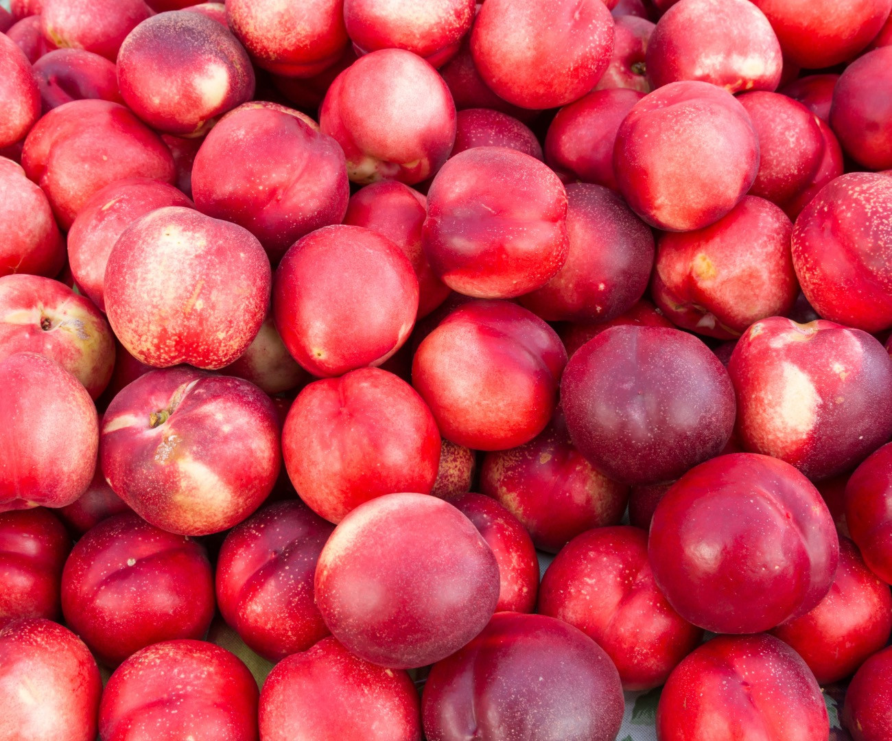 Nectarine blanche 500g