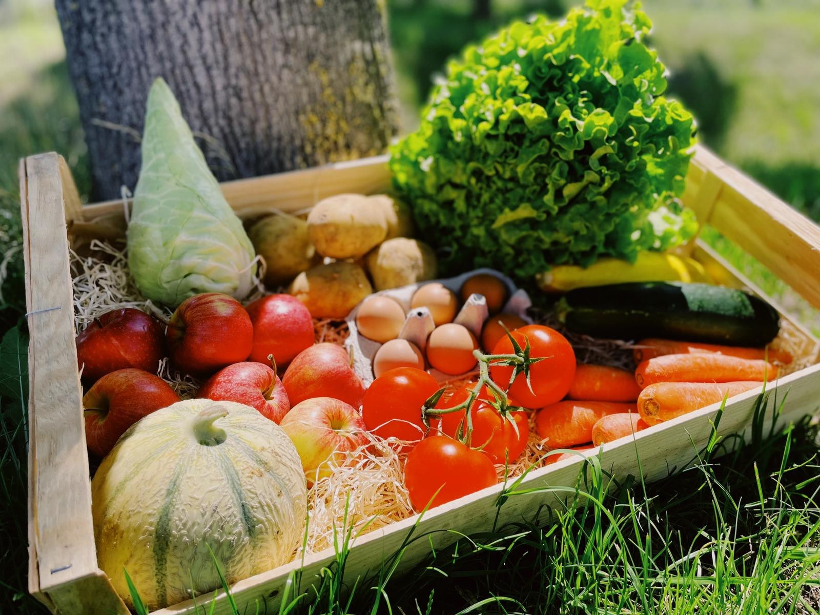 Panier Famille fruits et légumes 100% BIO 15 euros