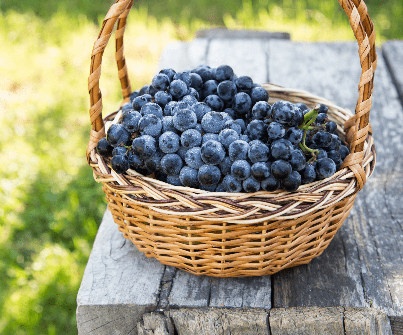 Raisin noir prima 250g