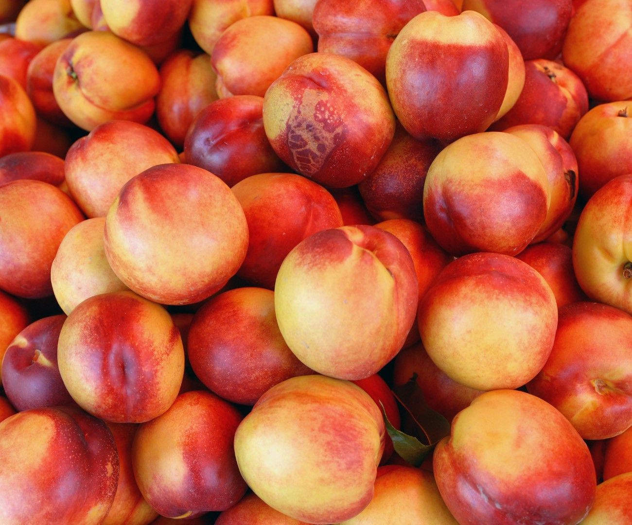 Nectarine jaune 500G