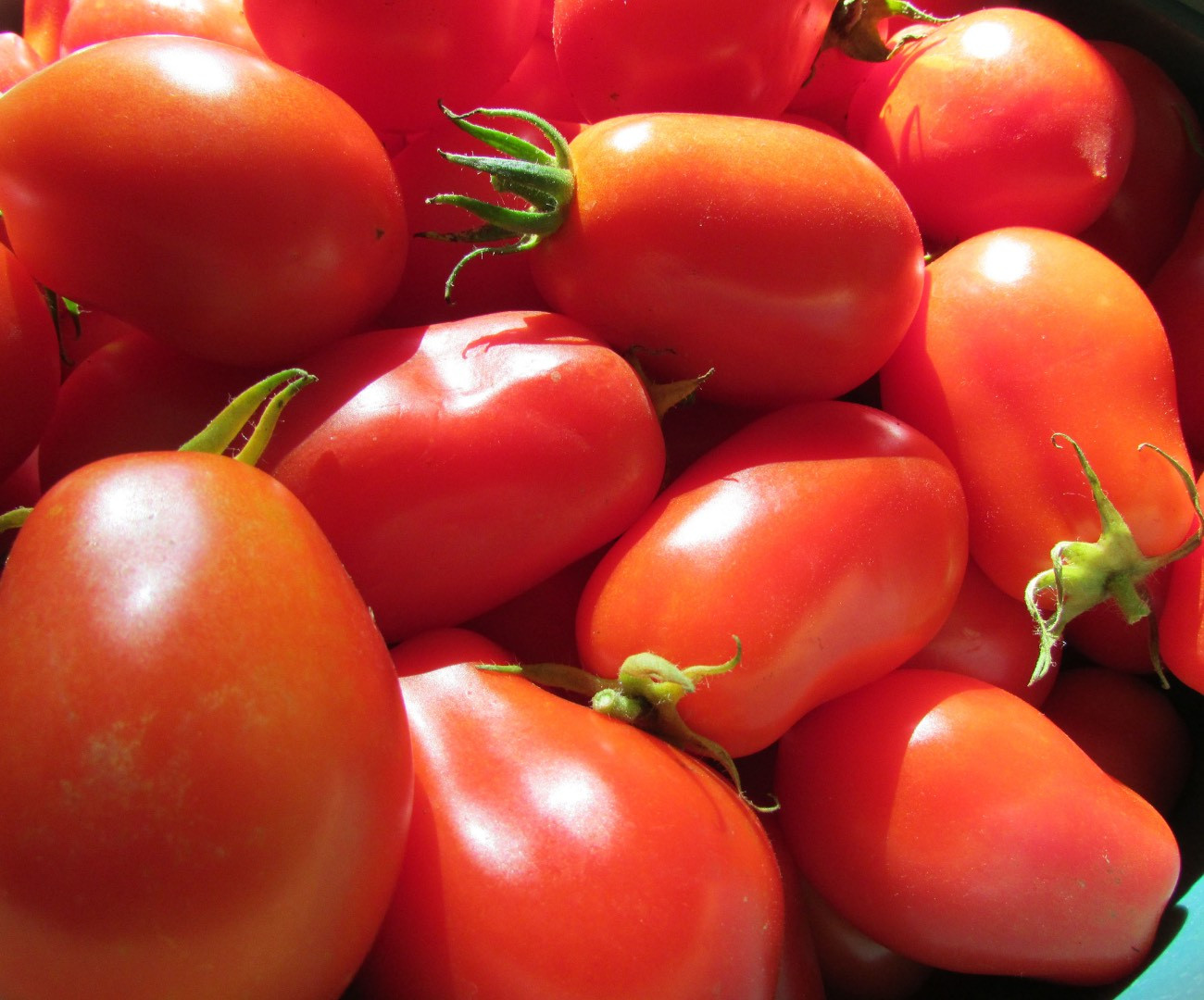 Tomate roma 500g