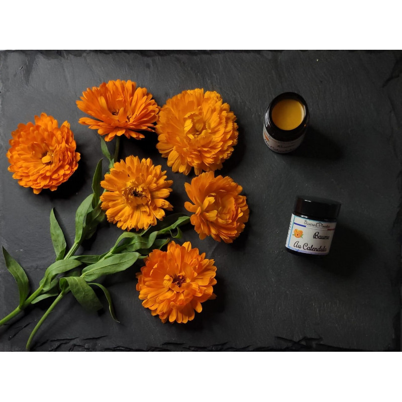 Baume  au calendula 80ml