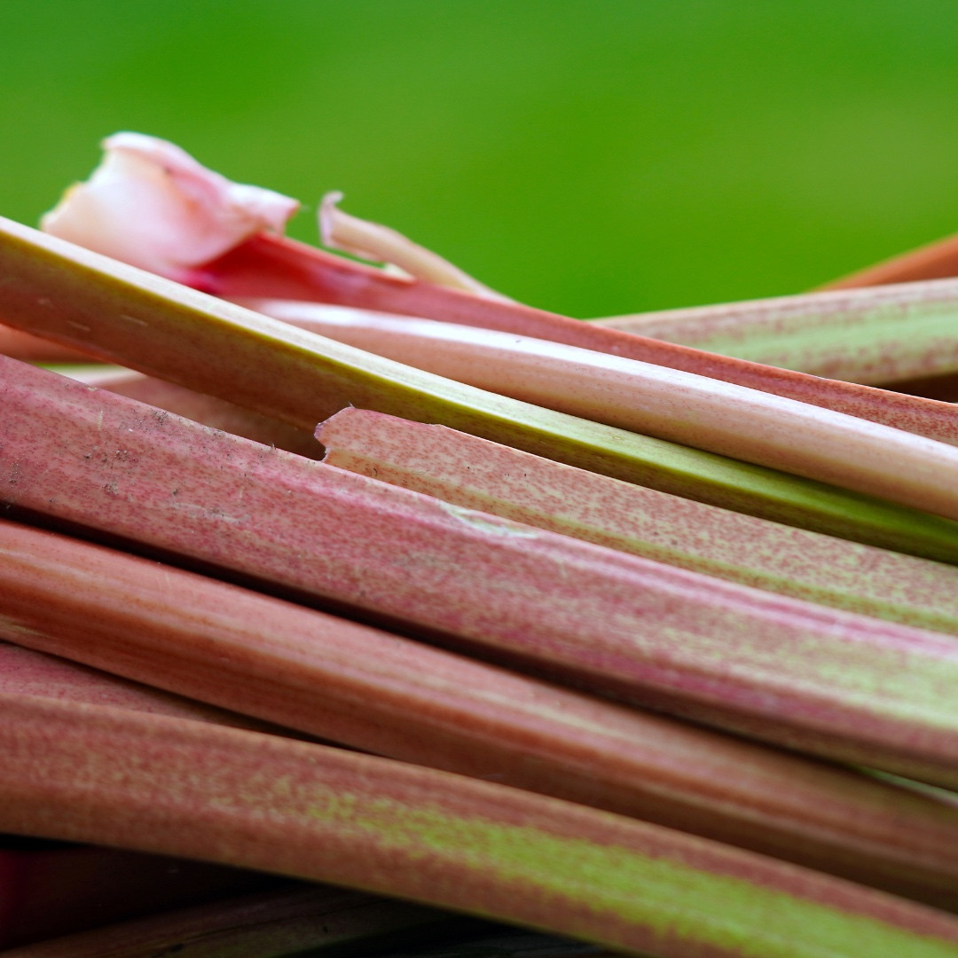 Rhubarbe 250g