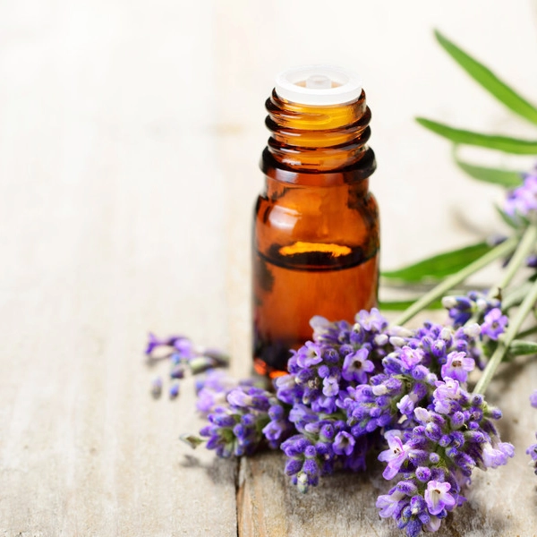 Image de produits 'A la une' par la boutique Le Colibri