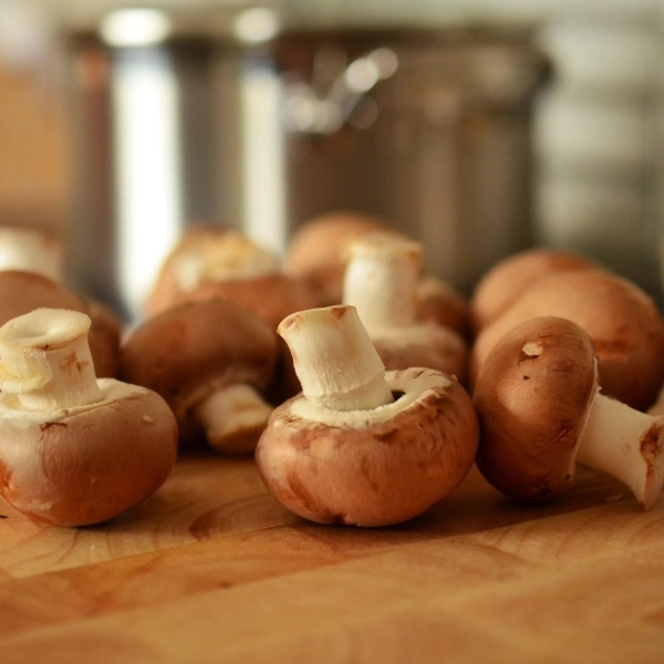 Champignons frais