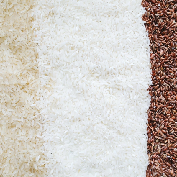Pâtes, riz, féculents, légumineuses Pâtes, riz, féculents, légumineuses